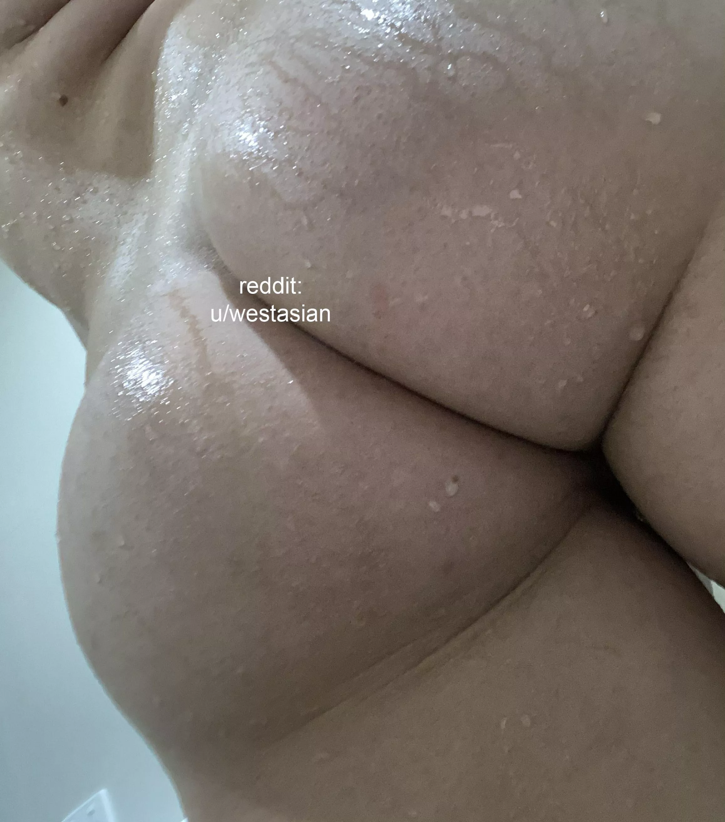 Ever ate Arab ass? posted by westasian