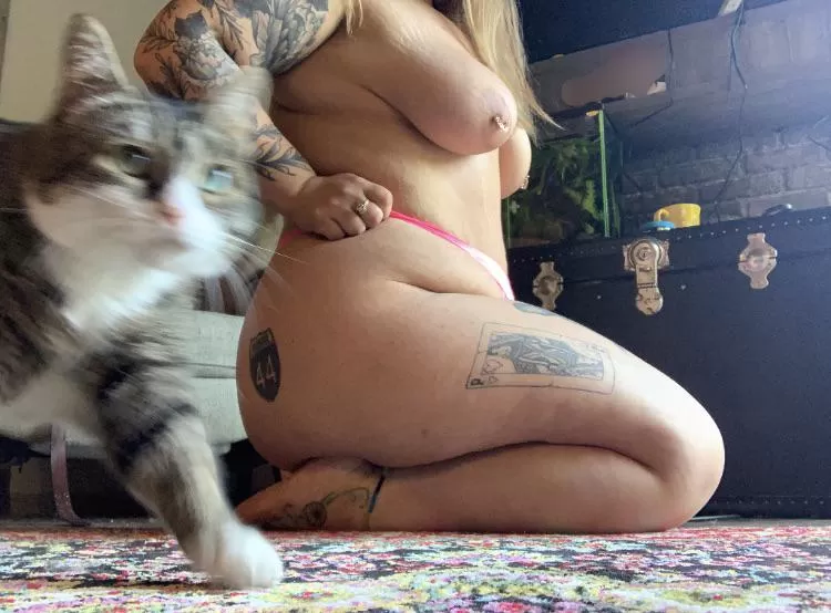 Every damn time posted by shady90sbitch