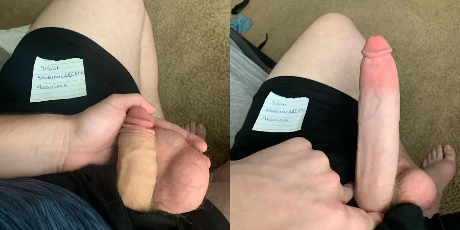 Every Magician Needs a Wand 🪄 (20) by WholesomeAccountBtw