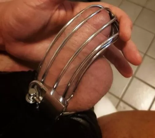 Every slave needs a master by JohnSw1ng