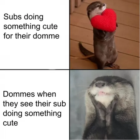 Everything is better with just a little love by myweirdsubaccount