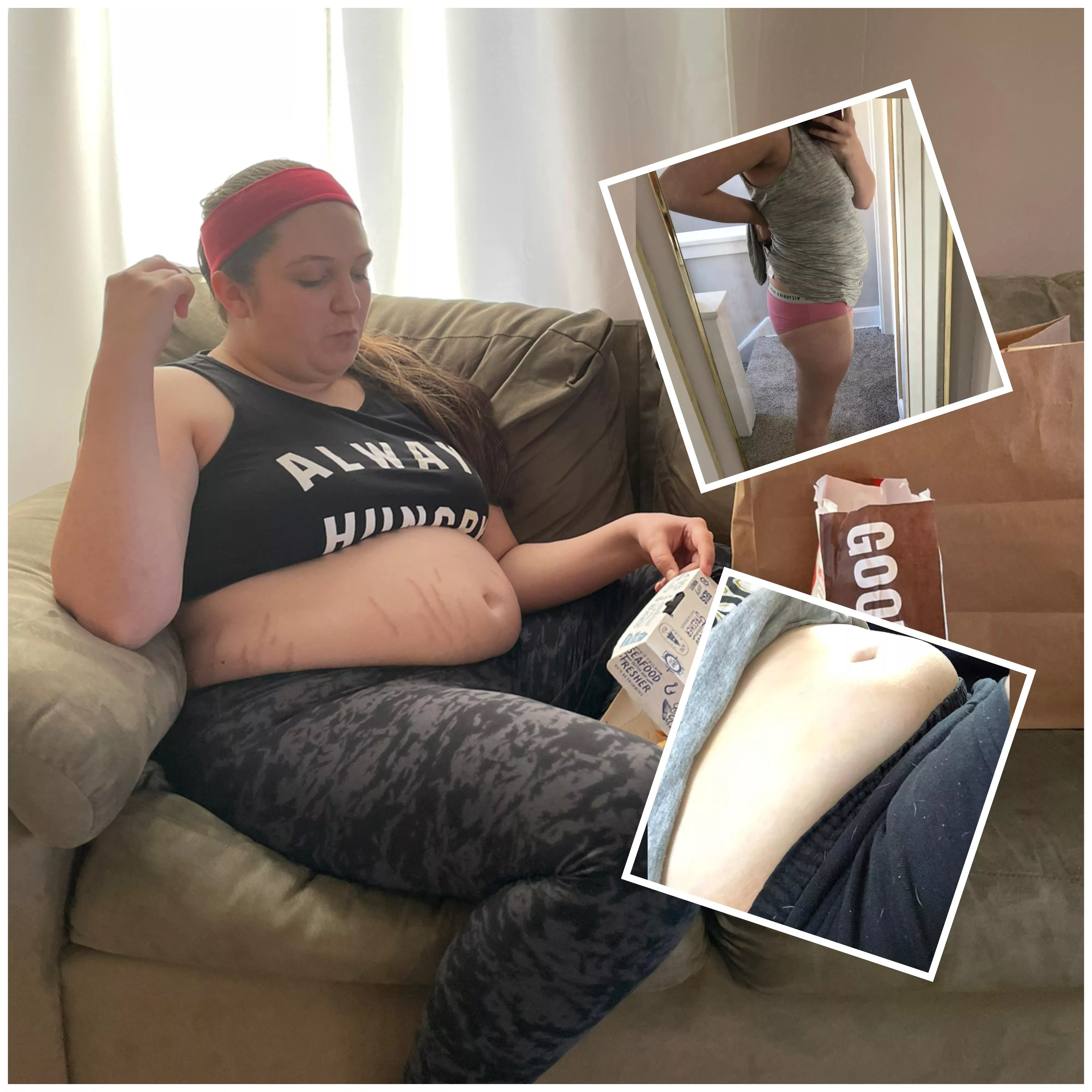 Evolution of a pig 🐷 posted by Chipmunk3333