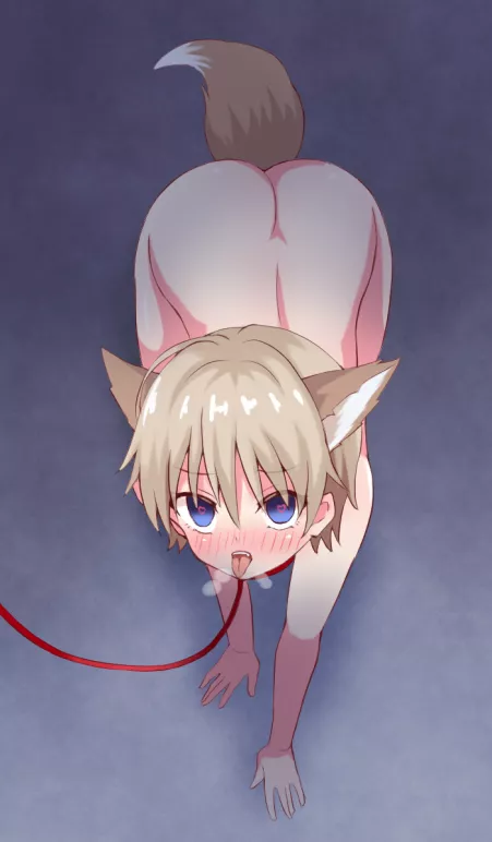 Exciting night walk by Right-Formal-1699