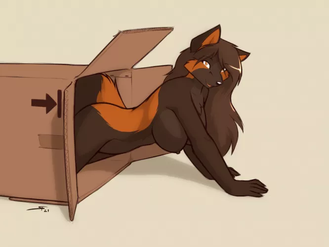 Express Fox Delivery [F] (StarFighter) by AdditionalIsland