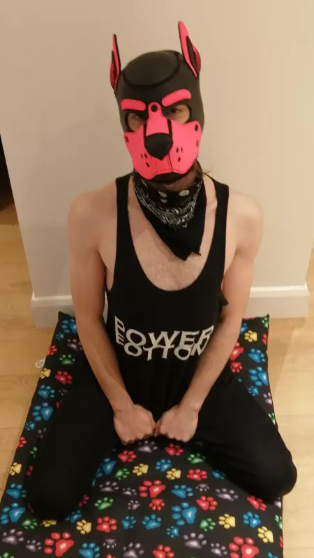 Extended time out 🐾 by pinkpuppyjinx