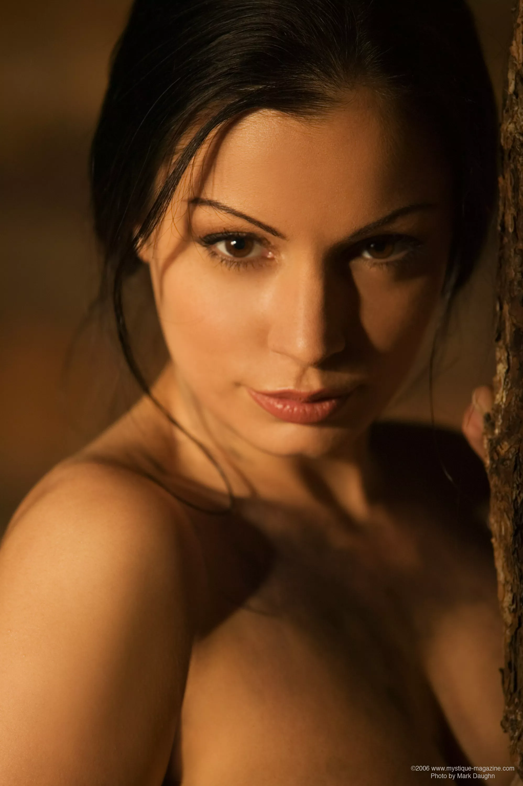 Eye Contact posted by kittenparry