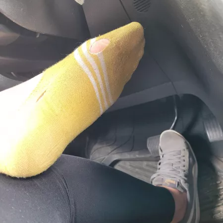 (F) 24 fedex driver.. These smell so bad they slipped off my feet while delivering to try to escape the smell, Soo worn they've got holes😻😻 the pumas smell awful too😈 by ideliveryoursocks