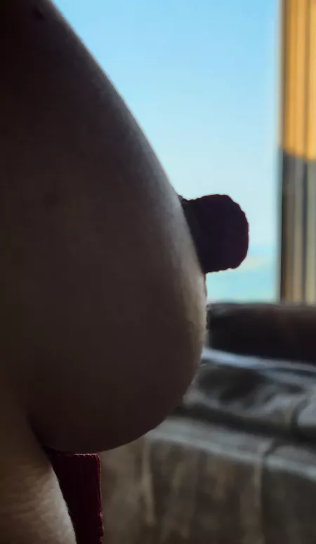 (F) 34 [OC] Such a beautiful Sunday, don't you agree? by blusky2021