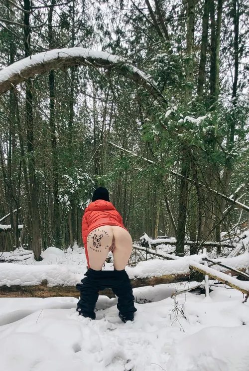 [F] 45 (OC) I think you can see a couple of new trails to hike. I'm sure they're warmer 😈 by bandit_rider