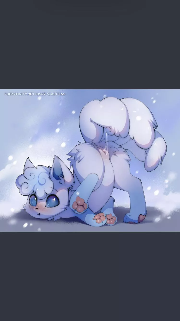 [F] (Castitas) aloan vulpix looks so adorable 🥰 posted by Beginning-Anywhere-3