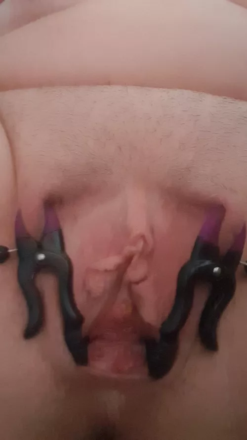 [F] Held open for you to do as you please by Business-Nature311