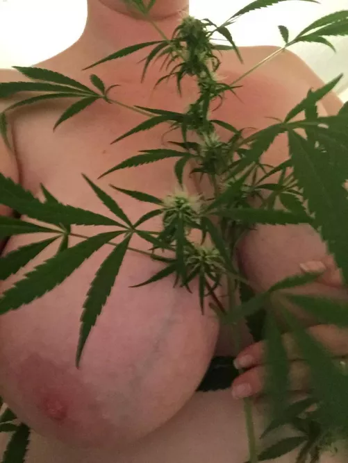 (F) wife playing peek a boo by jack198516