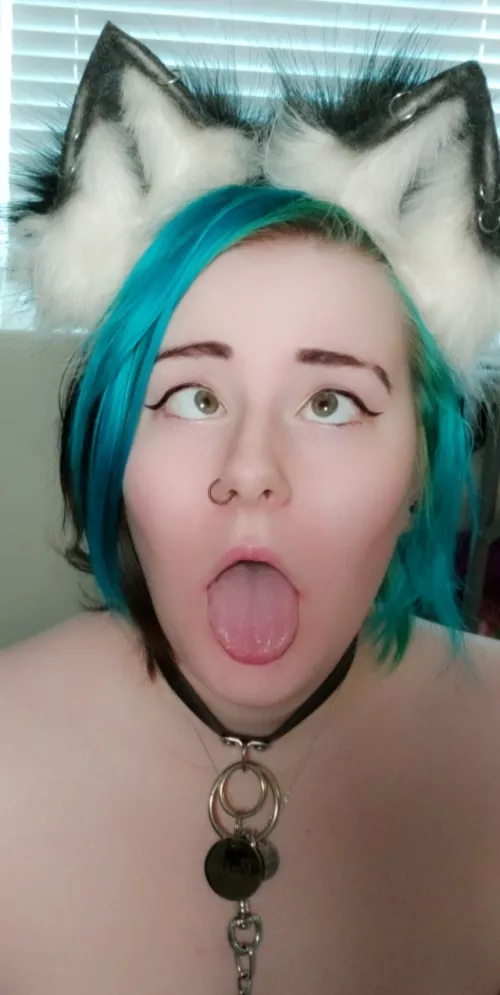(F19) come pet this kitty! 😻🖤 by rainbowstorm130