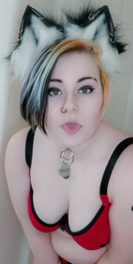 (F19) red and black kitten ❤🖤 by rainbowstorm130