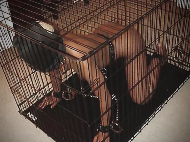 [F,19] This is probably the kinkiest post I’ve ever shared and I might delete it later, but yeah I ended up having a pretty intense weekend and spent part of it in a cage🙊🙈😅 by X0x02