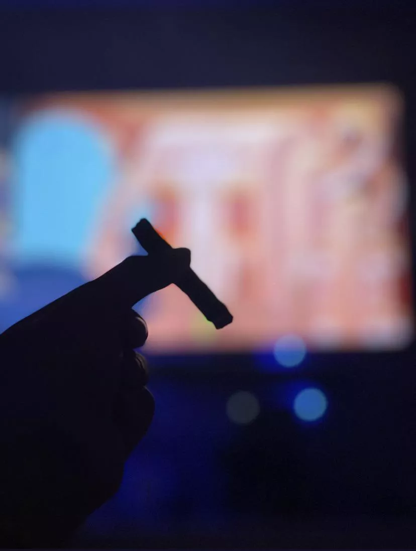 FaceTime? posted by SnooHobbies2909