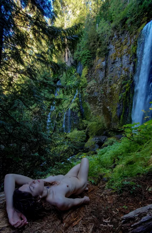 Fairy nap on a log decomposing into soil, reminder of the cycle of Death and Rebirth💫 by NakedMossFairy