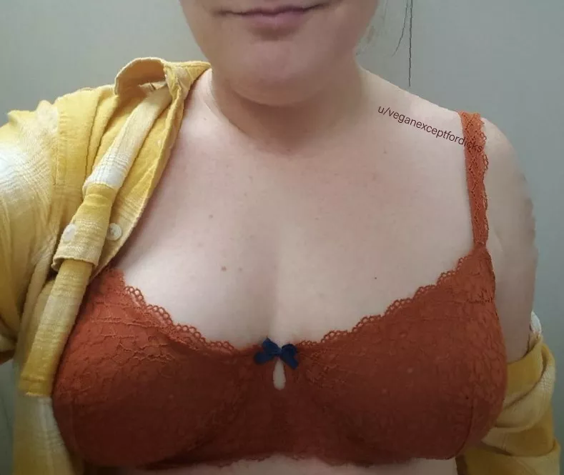 fall > summer posted by veganexceptfordicks