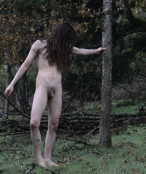 Fallen Branches by Gray_Alien