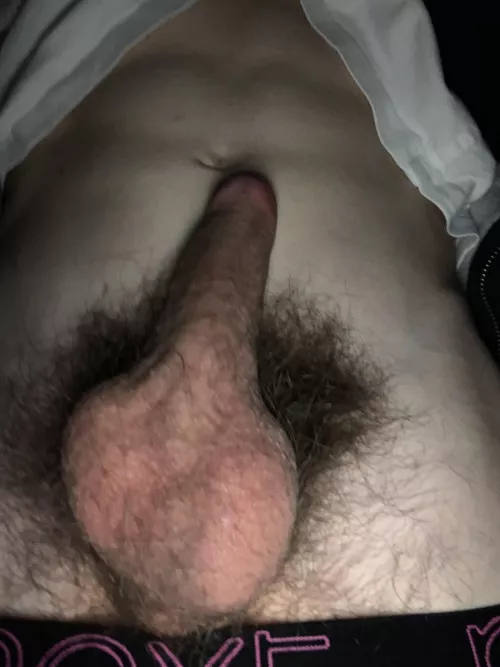 Fancy by Desperate-Ad843