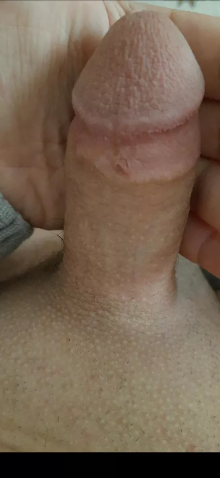 fat and short (19) by joe171813