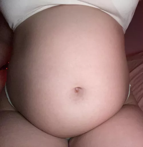 Fat pig by someone12073