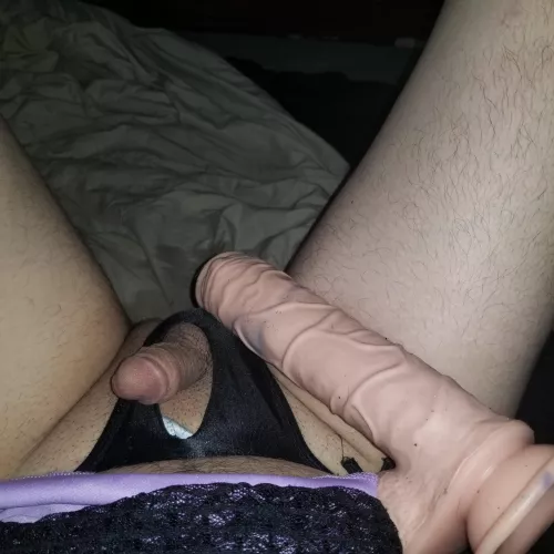 Favorite toy by Canadianindoorgreen