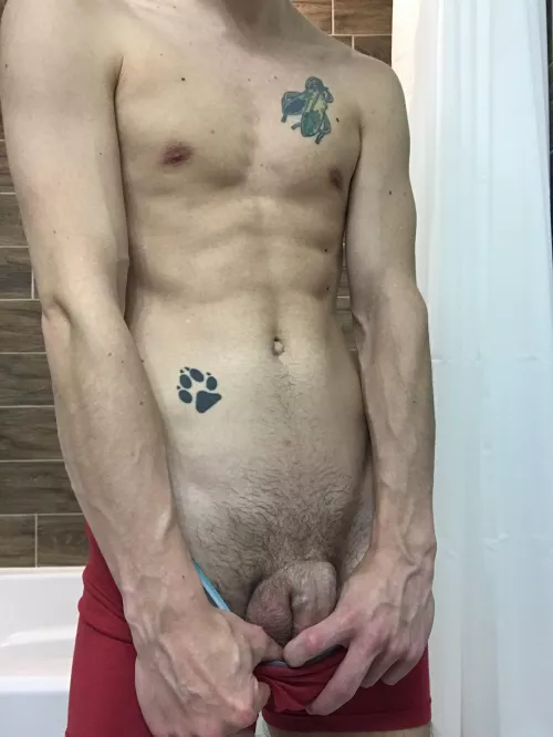 Feather, Paw Prints, and veins! Oh my. by AmongaSeaofStars