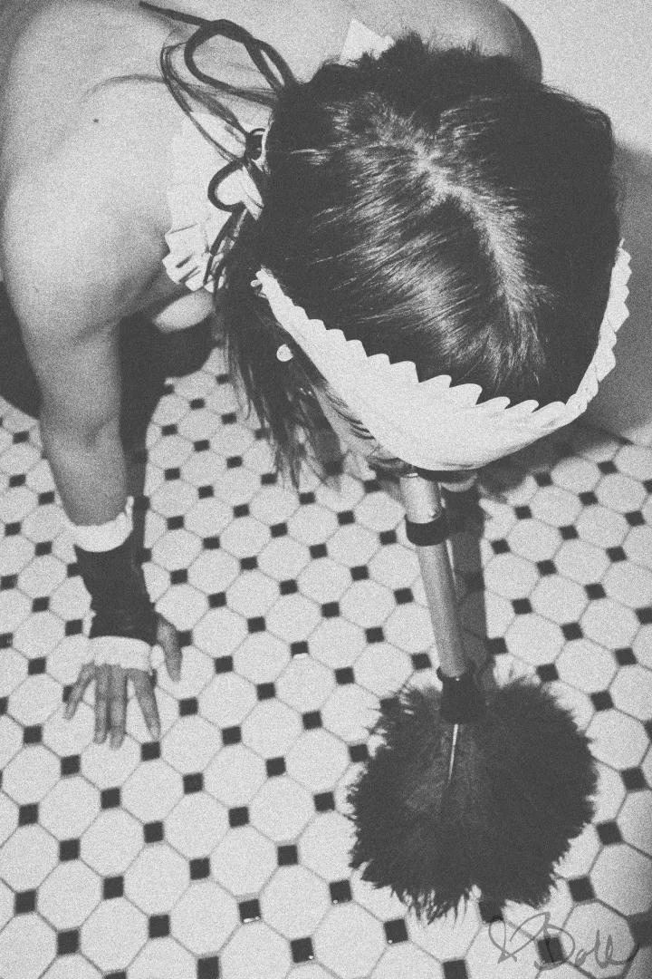 Feather-Duster posted by subspacecadets
