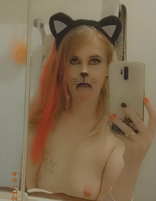 Feed kitty your cum daddy by jesswestcoast