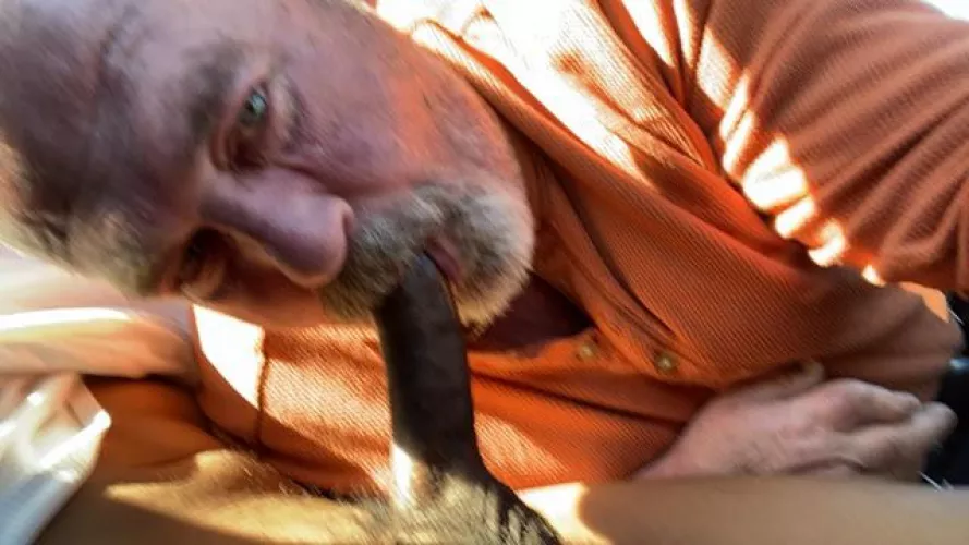 Feed me by bigguy11953