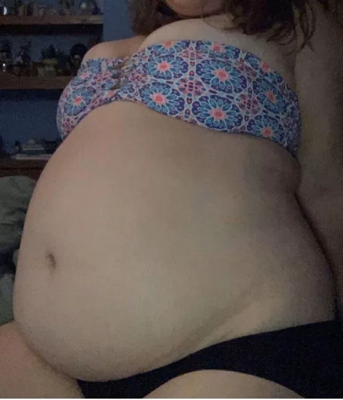 Feeder by mistystewa