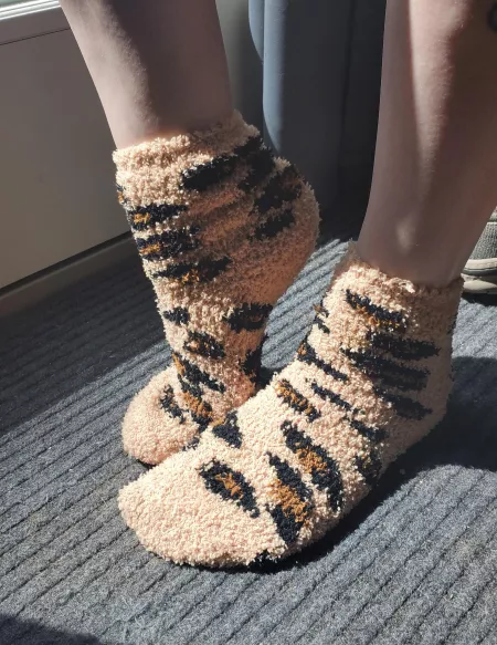 Feelin' furrocious by gingertoes9