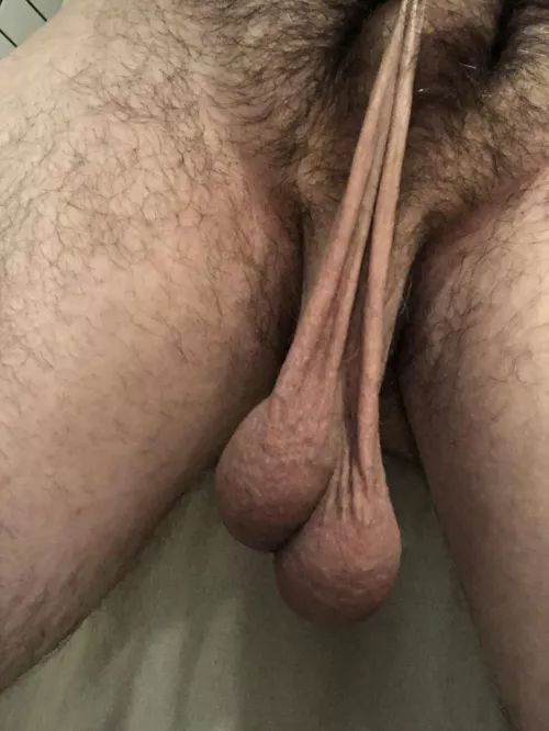 Feelin’ low by Pleasant-Platypus530