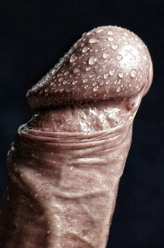 Feeling a bit artistic today posted by Poxpilot