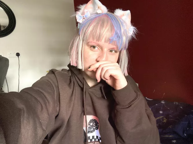 Feeling bad? Here’s an easy trick - put on some cat ears & instantly become cute! by Mission-Sprinkles350