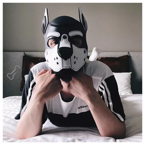 Feeling cute by pupbrot