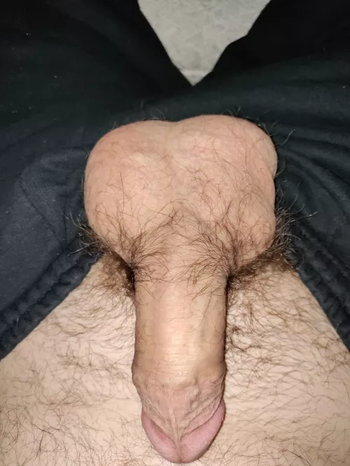 Feeling extra ballsy today thought I'd share. by Master_Ripley