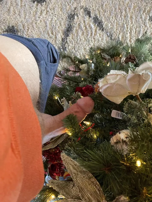 Feeling festive by randommd81