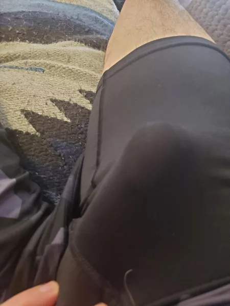 Feeling frisky by sck1801