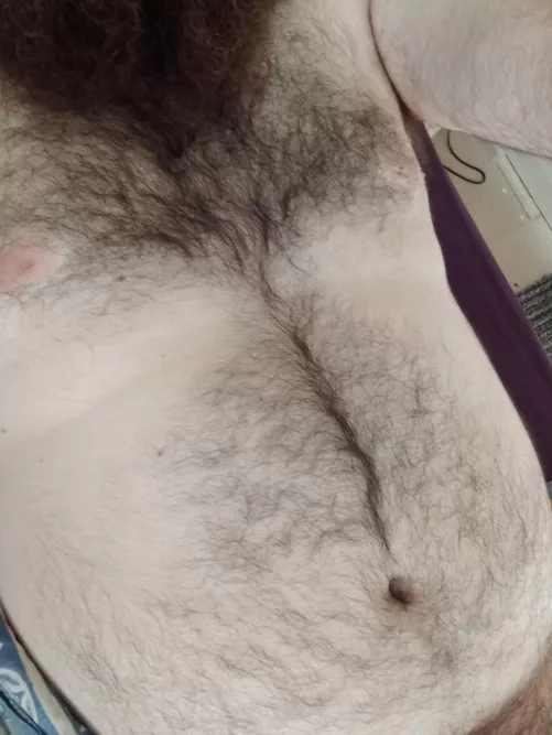 Feeling hairy today 🐻🐻🐻 by soki89