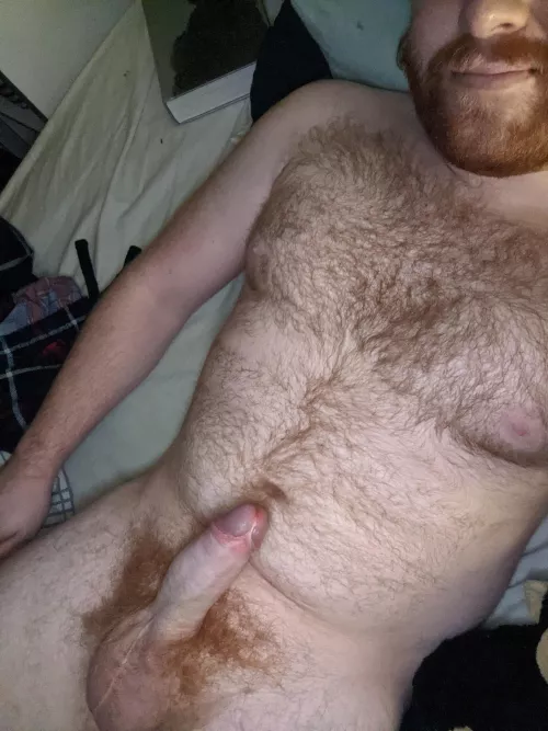 Feeling lonely tonight. Anyone care to help? by Wise-Drink9665