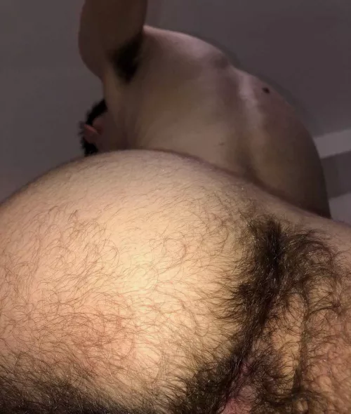 Feeling obedient by 4Lofti