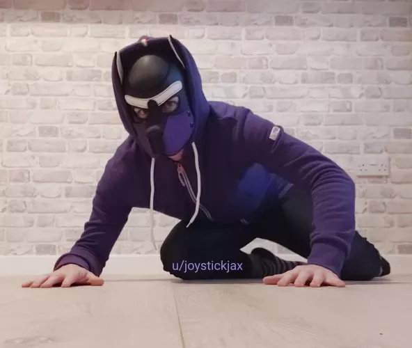 Feeling playful arroo! by joystickjax