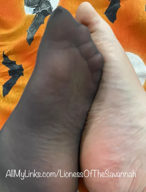 Feeling Spooky! 👻🕸🎃 by Savannahs_Feet