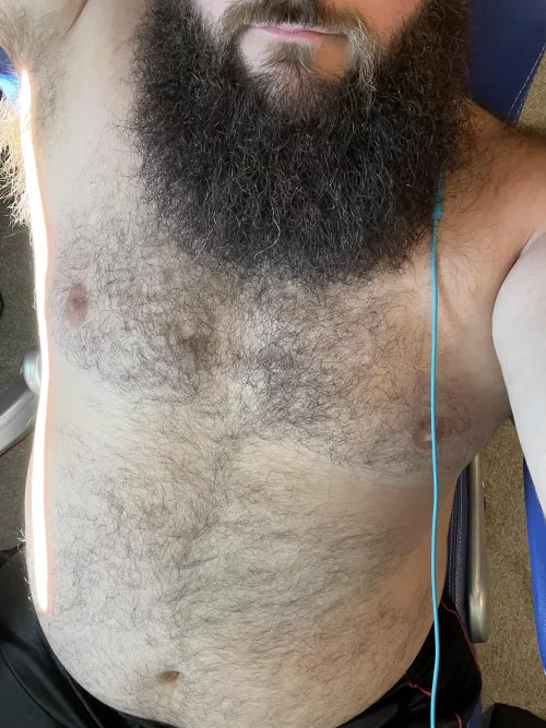 Feeling that sun in the window. by d6fur