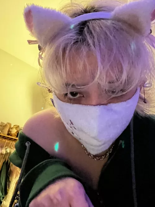 feeling very catboy rn by honeybunny5212