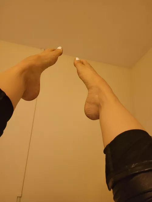 Feet up in the air by MistressLauraFL