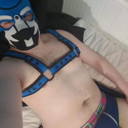 Felt cute! :3 by Daca_RB