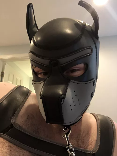 felt cute awooo by GaffPup